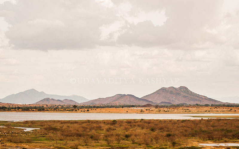 Rayalasheema landscape