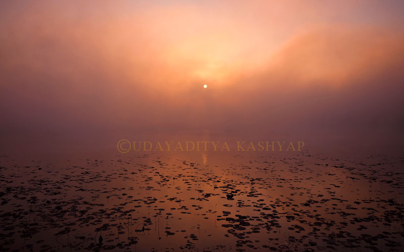 Shivasagar Tank (Borpukhuri)
